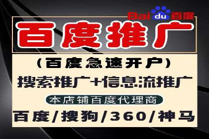 真实案例解析：SEM代运营托管公司的优势与挑战
